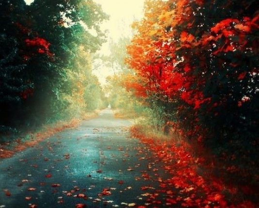 JETA NUK ËSHTË MË SHUMË SE NJË RRËFIM I SHKURTËR