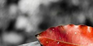 ATËHERË KUR ME TY NDRYSHON NJERIU MË I SHTRENJTË TEK TI