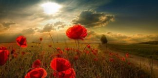 BUKURIA BURON NGA BRENDËSIA E SHPIRTIT