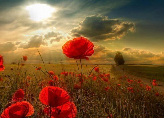 BUKURIA BURON NGA BRENDËSIA E SHPIRTIT