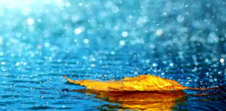 NGA SHKAQET E ZBRITJES SË SHIUT