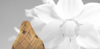 NGA MIRËSITË E MBULESËS