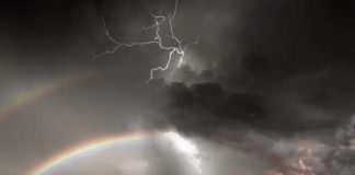 SA I MJERI QË ËSHTË I BIRI I ADEMIT!!