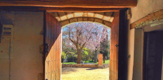 KËSHILLA TË MREKULLUESHME!!