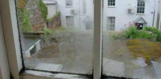 PLUHURI I GJYNAHEVE!!