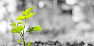 MOS E AKUZO DYNJANË PËR VEPRIMET E TUA