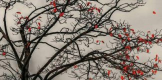 NDRYSHIMI ËSHTË TRADITA E JETËS