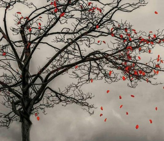 NDRYSHIMI ËSHTË TRADITA E JETËS