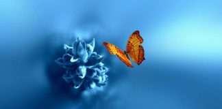 ATË QË NA E MËSON JETA ËSHTË THESAR I ÇMUAR