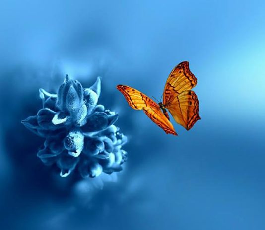 ATË QË NA E MËSON JETA ËSHTË THESAR I ÇMUAR