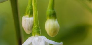 TREGIMI YT NË MESIN E NJERËZVE PËRFUNDOI!!