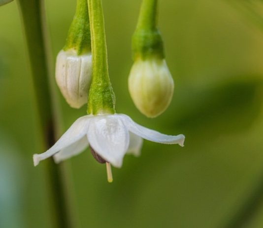TREGIMI YT NË MESIN E NJERËZVE PËRFUNDOI!!