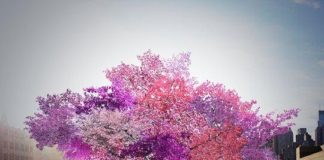 TETË CILËSITË TE ÇDO NJERI… A I NJEH ATO?