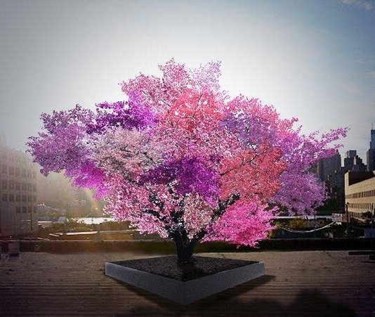 TETË CILËSITË TE ÇDO NJERI… A I NJEH ATO?