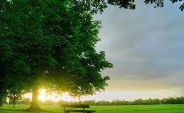 NDJENJA TË SHKËLQYERA…