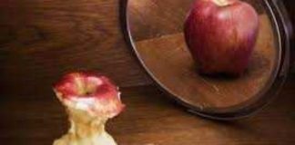 MENDJEMADHËSIA DHE DËMI I SAJ