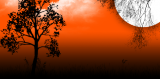 KUR DO TË JEMI TË KËNAQUR ME GJENDJEN TONË?!