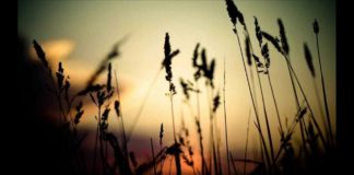 ILAÇI MË I MIRË PËR QETËSIMIN E DHEMBJEVE