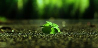 PSE VAZHDONI TË QANI PËR TË NJËJTËN GJË?!