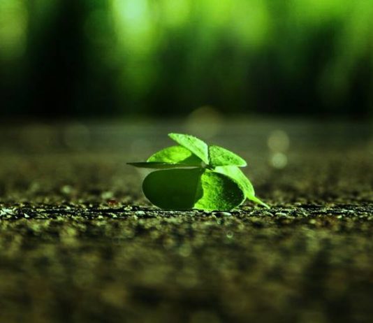 PSE VAZHDONI TË QANI PËR TË NJËJTËN GJË?!