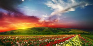 EDHE UNË KAM NEVOJË ASHTU SI TI