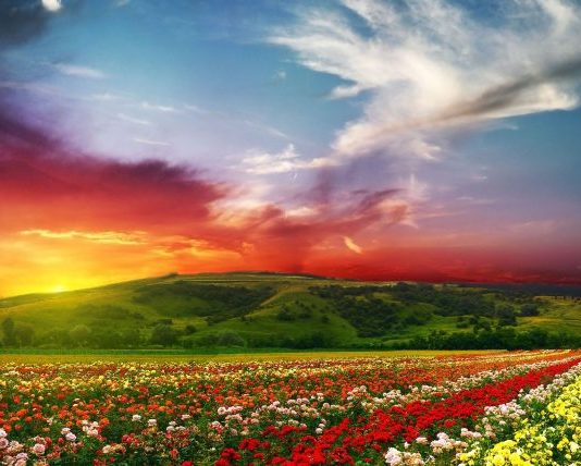 EDHE UNË KAM NEVOJË ASHTU SI TI