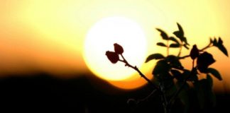 PENDIMI DHE MËSHIRA E GJERË E ALLAHUT