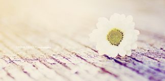 ZBUKURIMI I LEJUAR DHE AI I NDALUAR