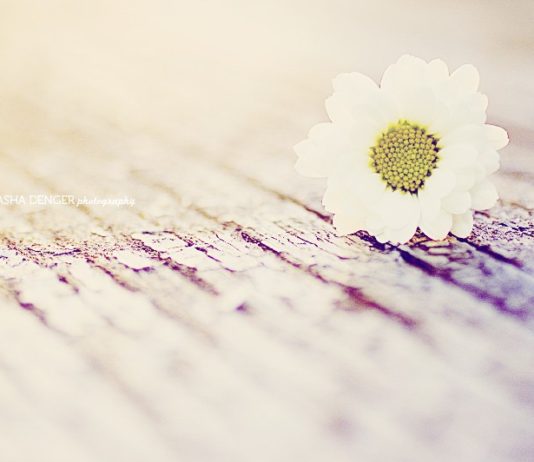 ZBUKURIMI I LEJUAR DHE AI I NDALUAR