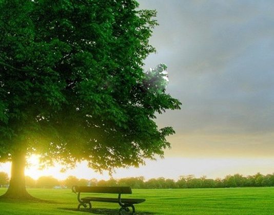 QARTËSIMI I SHKAQEVE TË LUMTURISË