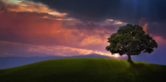 FUQIZIMI I VETËDIJES SË MBIKËQYRJES HYJNORE