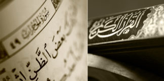 DISA NGA CILËSITË E BESIMTARËVE NË KUR’AN