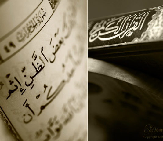 DISA NGA CILËSITË E BESIMTARËVE NË KUR’AN