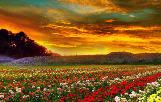 LIGJËSIMI I SELAMIT DHE DOBITË E TIJ