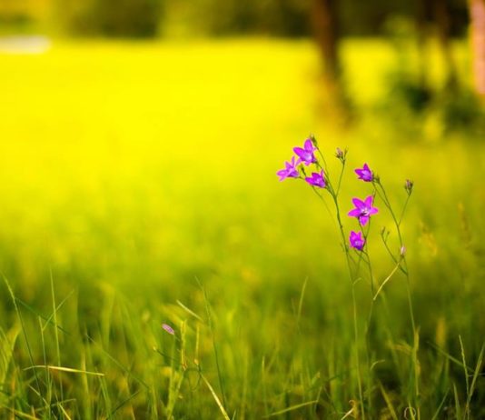 A I DI KËTO KATËR PREMTIME HYJNORE?!