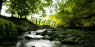 TY TË MJAFTON ZOTI YT