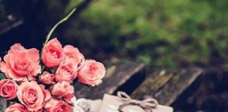 KËTO GJËRA I PËRFITOJNË ZEMRAT