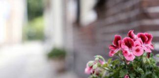 MOS U MËRZIT NGA KURTHET E NJERËZVE