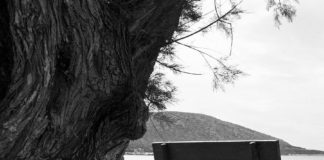 TË FILLOJMË ME PËRMIRËSIMIN E VETES