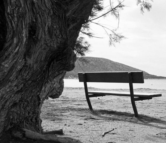 TË FILLOJMË ME PËRMIRËSIMIN E VETES