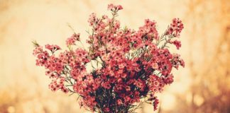 RESPEKTI ËSHTË DHURATA MË E BUKUR