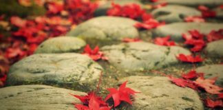 PËR TA KUPTUAR HESHTJEN E TIJ