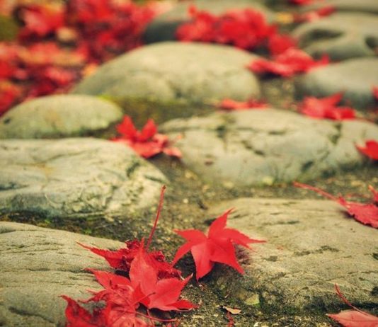 PËR TA KUPTUAR HESHTJEN E TIJ