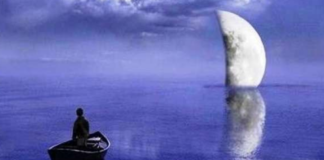 MOS I BRAKTIS ËNDRRAT PSE TË LËNDOI NJË FERRË