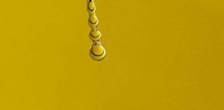 HARROJE TË DJESHMEN, AJO KALOI