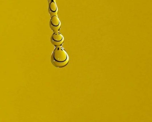 HARROJE TË DJESHMEN, AJO KALOI