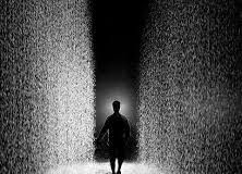 KËSHTU ËSHTË JETA DHE LIGJI I SAJ