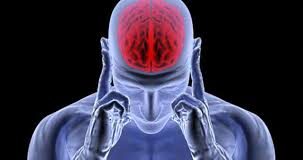 NDIKIMI I MEDIEVE NË TRURIN TONË