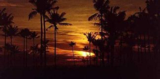 KUR I JEPET ÇDO GJËJE VLERË?!