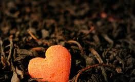 SHKAQET E NGURTËSISË SË ZEMRËS DHE SHËRIMI I SAJ